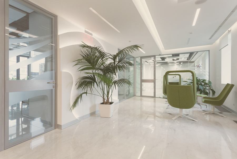 Oficina luminosa con plantas